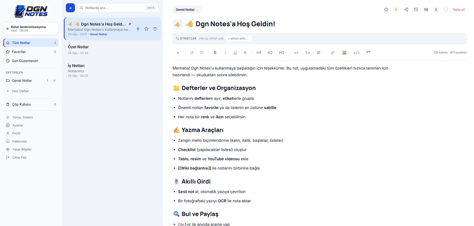 Dgn Notes web sürümü ekran görünümü