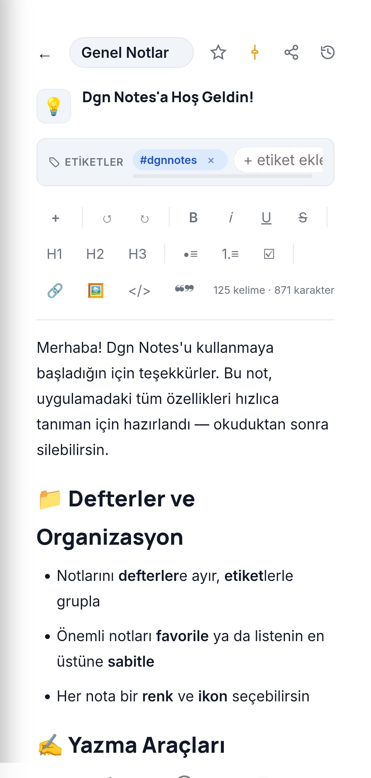 Dgn Notes zengin metin editörü görünümü